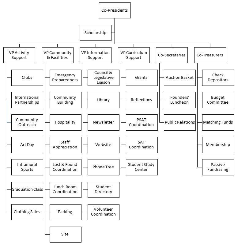 Pta Organizational Chart